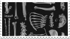 bones.png